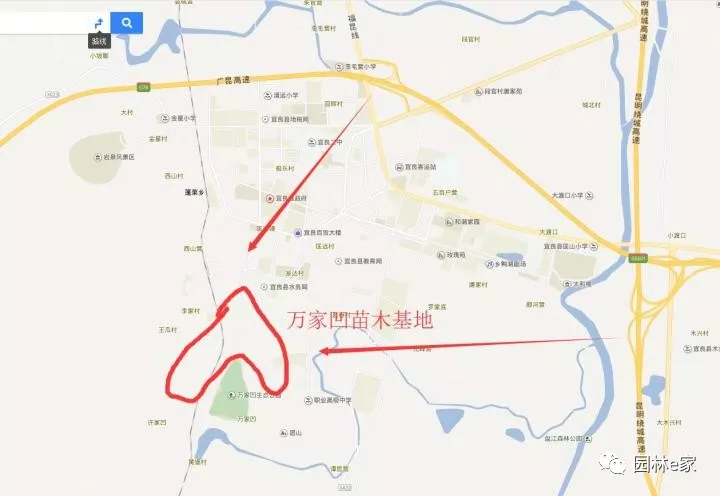 云南宜良苗木分布之万家凹（四）